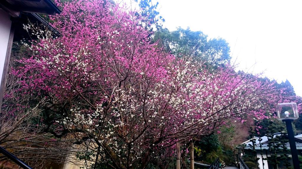 Beppu Showaen Esterno foto