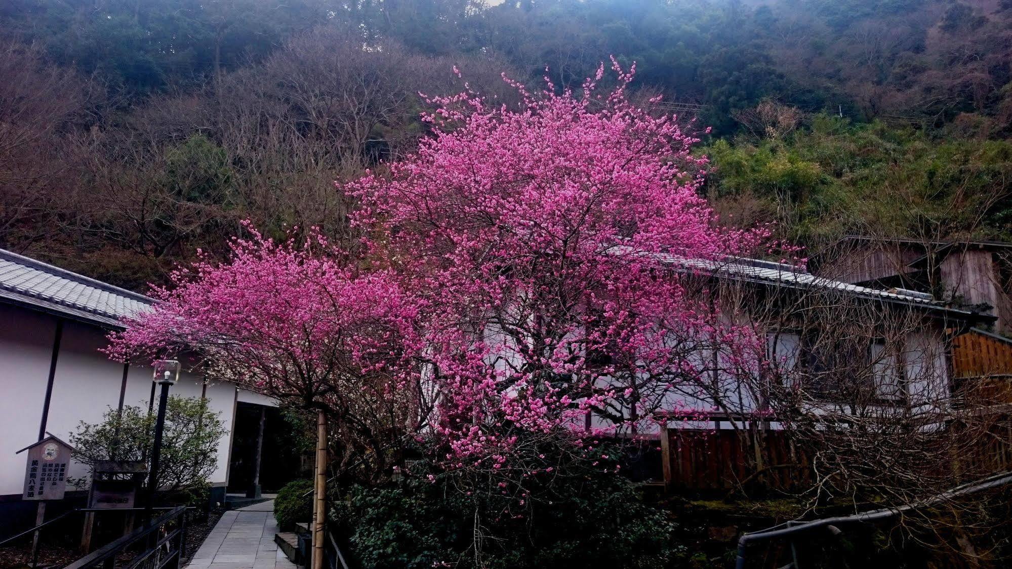 Beppu Showaen Esterno foto